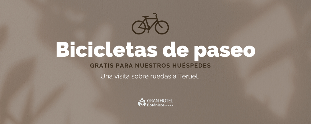 Bicicletas de paseo gratis hotel teruel